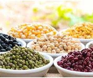 Beans Legumes For Weight loss 
