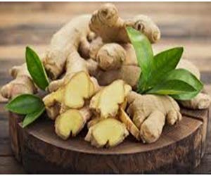 Ginger for Weight loss and health