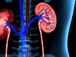 Dietary Management of Kidney Disease